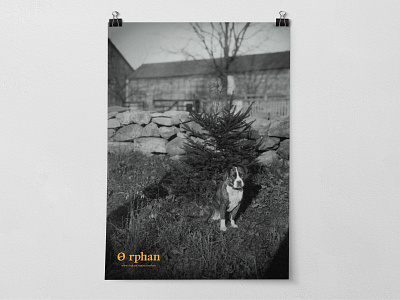 Lost and Found black white creative dog found help huh lost marketing marketing campaign mockup orange orphan photo poster puppy retro sad vintage what