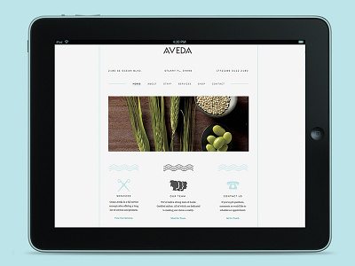 Ocean Aveda aveda design icon ipad ocean salon web