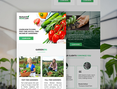 byr email template