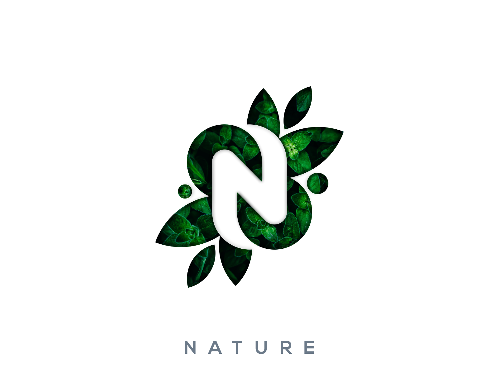 Green Leaves Nature Logo Template PNG vector in SVG, PDF, AI, CDR format