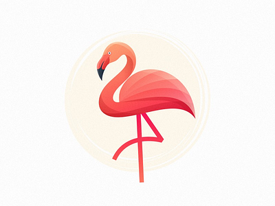 Flamingo logo colorful design flamingo logo logo designs