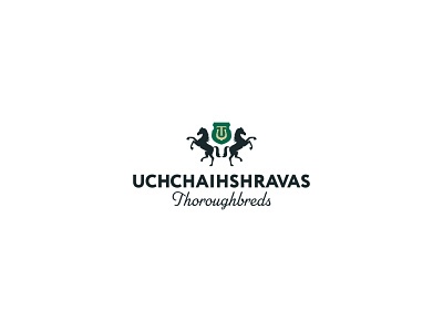 Uchchaihshravas Thoroughbreds brand design brand identity branding business card coat of arms crest design horse logo logotype mark stationery design vector