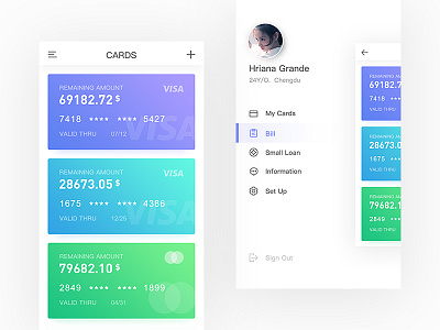 CCS App Design-Index Sidebar bank card credit financial loan