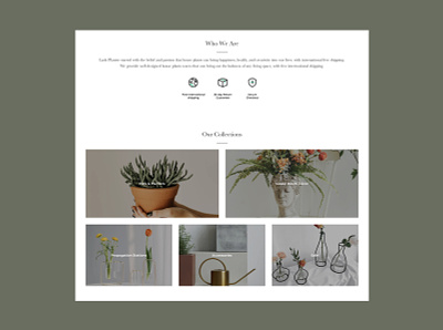 Lush Planter | Online Shopping app designer casestudy ecommerce onlineshop onlineshopping overview product design responsive ui uiux web design