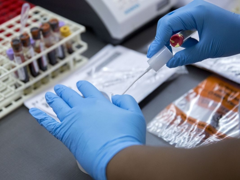 Labcorp Patient Portal by peryourhealth on Dribbble