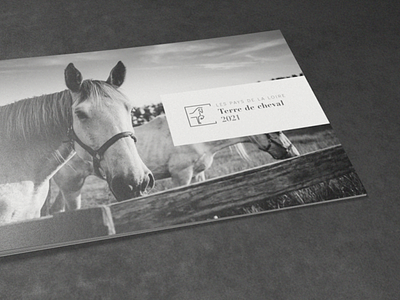 Terre de cheval 3d mockup black and white booklet equitation france graphic design horses logo top of the range upmarket