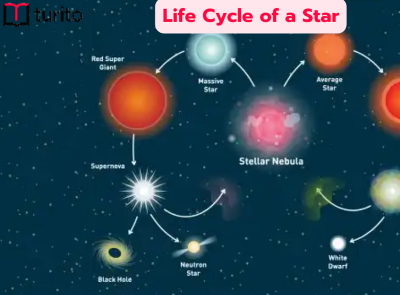 life cycle of a star by sweta on Dribbble