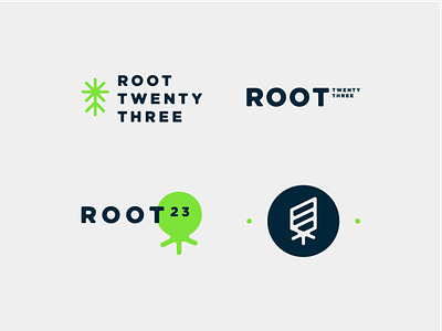 Root 23 Branding brand brand identity concept design logo