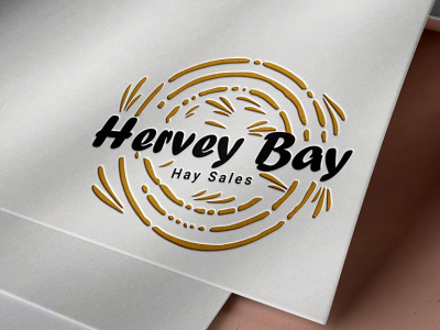 HERVEY BAY LOGO DESIGN branding business logo design graphic design hervey bay logo design illustration logo logo design logofolio logos professional logo professional logo design vector