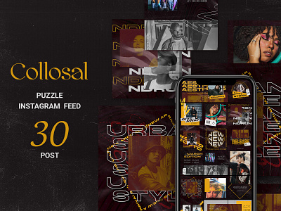 Collosal Puzzle Instagram Feed