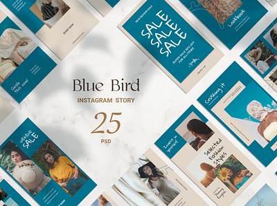 Blue Bird Instagram Story clothes conversion elegant fashion fashion stories graphic insta instagram lifestyle marketing minimalist multipurpose night dress online promotion retail sale social media stories