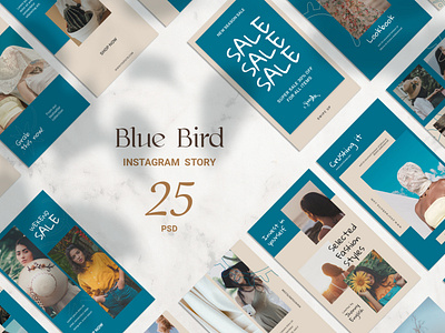 Blue Bird Instagram Story