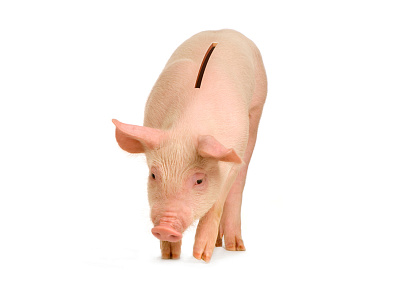 This little piggy has a savings goal. pig piggy bank savings