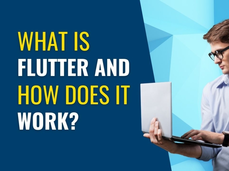 what-is-flutter-and-how-does-it-work-by-next-x-on-dribbble