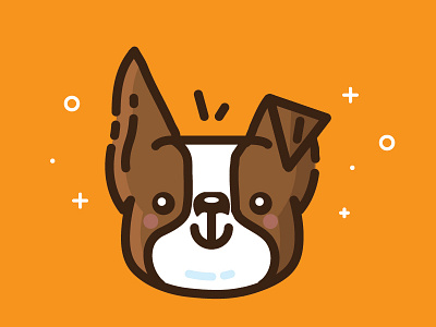 Oliver animal boston terrier dog icon vector