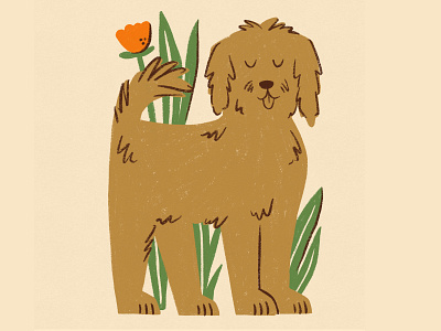 Mac the dog animal character design dog dog illustration illustration nature pet pet dog procreate puppy