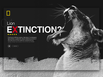 NatGeo new series 025 app app concept appdesign challenge dayliui lion national geographic tv tv shows ui ui ux uichallange uiinspiration uitrends ux uxdesign