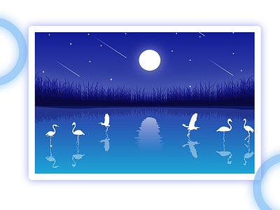 Scenery bird night scenery