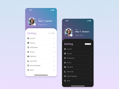Daily UI Challenge Day 7 - Setting