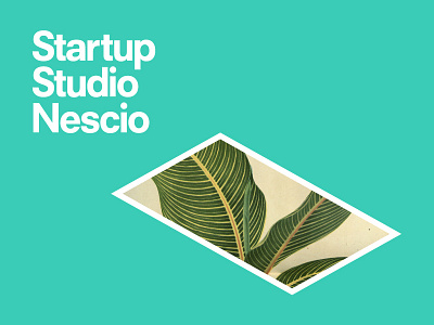 Startup Studio Nescio Plant amsterdam design graphicdesign identity isometric logo nescio plant rectangle startup studio webdesign