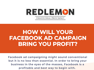 How Will Your Facebook Ad Campaign Bring you profit? facebook ad