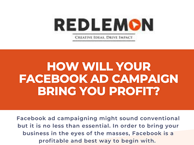 How Will Your Facebook Ad Campaign Bring you profit?