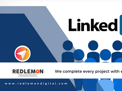 LinkedIn Marketing Services India linkedin marketing