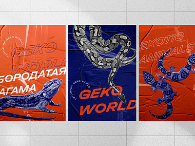 design — Geko world