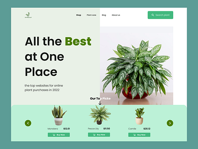 Plant Shop Website app design full landing page landing page logo ui ux