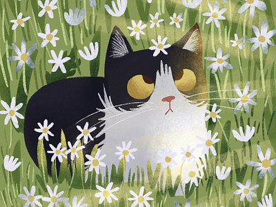 cat in daisies