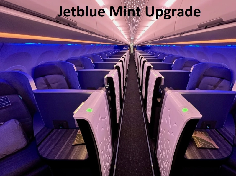 JetBlue Mint Upgrade by flights booking on Dribbble