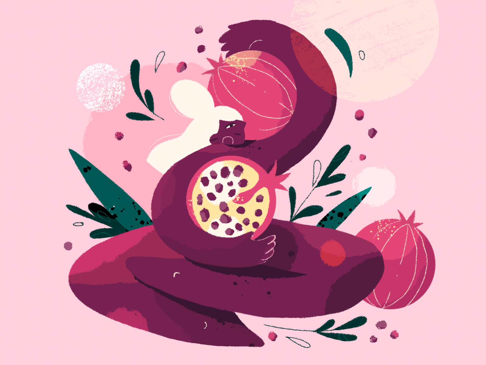 Pomegranate Lady by Julia Hanke on Dribbble
