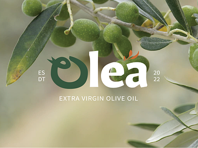 Olea Olive Oil - Branding branding design graphic design logo typography