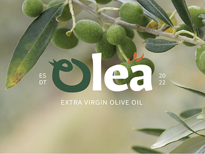 Olea Olive Oil - Branding