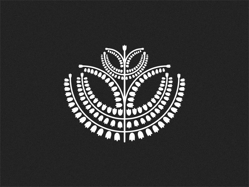 Plant white black symmetrical flowers leaf leaves plant