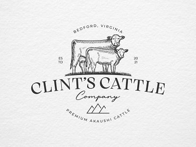 Clint's Cattle Company Logo Design branding calf cow cow drawing design drawing emblem design emblem logo farm farm logo graphic design illustration logo logo design sketch art sketch logo vector vintage drawing