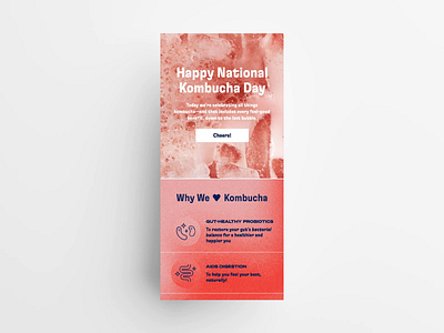 National Kombucha Day Email branding campaign design drink email email design email marketing icons kombucha marketing newsletter