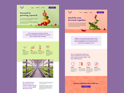Unfold Agriculture Website agriculture branding food identity landing landingpage startup sustainable ui visual identity web web design web page web site website