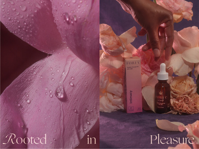 Rooted in Pleasure | Foria Wellness animation art direction brand campaign cpg design florals flower layout lighting nature photography product purple red texture type typography wellness women