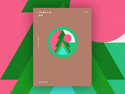 CHINA FIR 杉木 002 abstraction china fir clean flat geometry graphics illustration poster tree