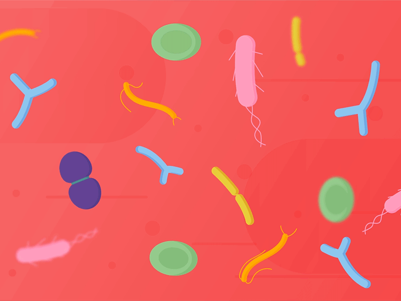 Bacteria animation health illustration storyboard wellness