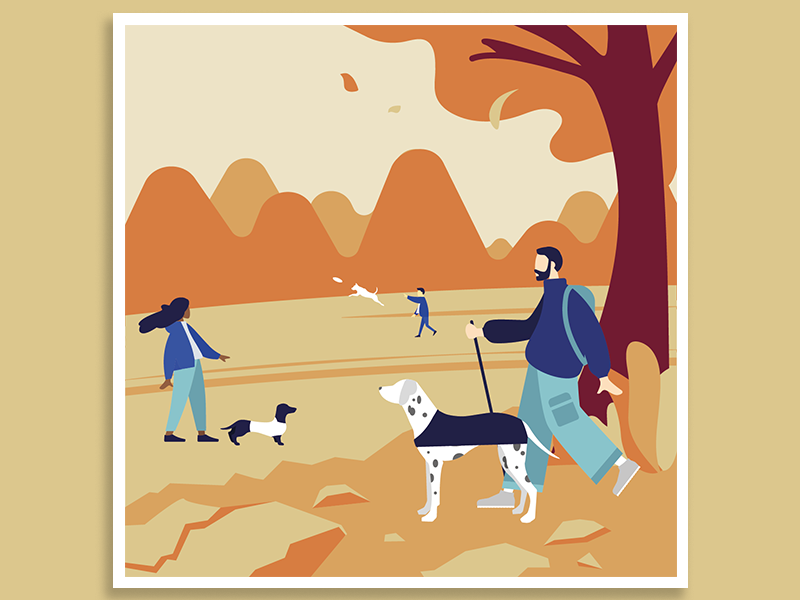 Adventures with dogs illustration 2 illustrator dogs illustration