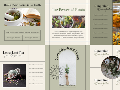 Social Media Templates botanical brand design brand identity branding canva content creation design esoteric graphic design herbalism illustration instagram instagram content creation plants social media social media content social media content creation vector