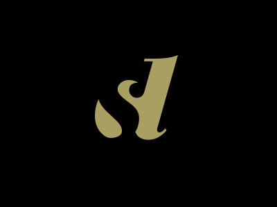 DS Logo logo type