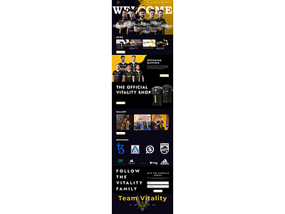 CSGO | VITALITY | Website Re-Design design graphic design illustration ui ux