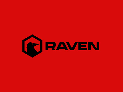 Raven branding graphic design logo