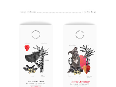 Rescue Chocolate - initial and final designs