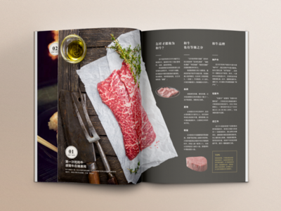 Brochure Design 宣传册设计