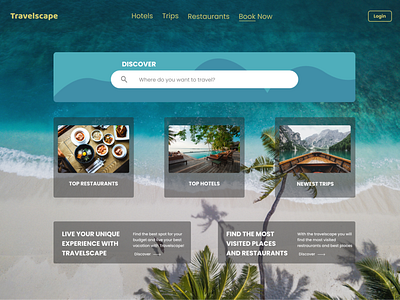 Travel Company Website Design graphic design ui website