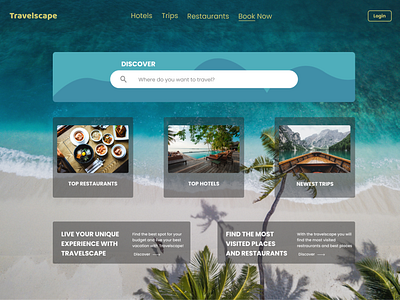 Travel Company Website Design